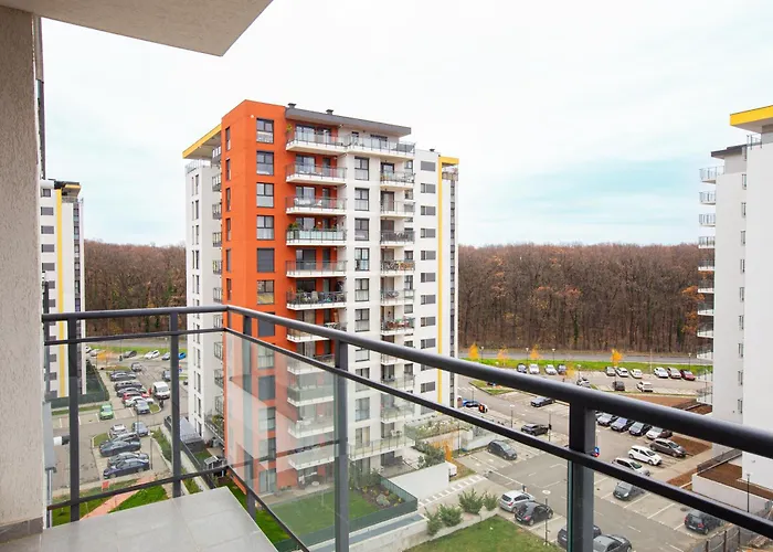 Forest טימישוארה